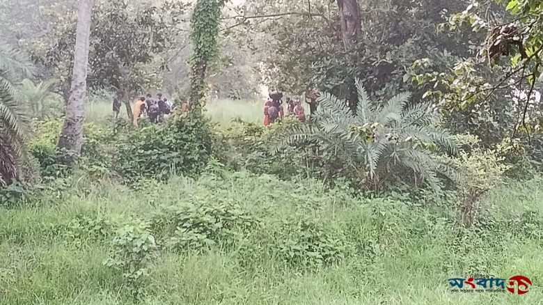 চাঁপাইনবাবগঞ্জের বাঙ্গাবাড়ি সীমান্তে ২৮ জনকে ঠেলে পাঠানোর বি...